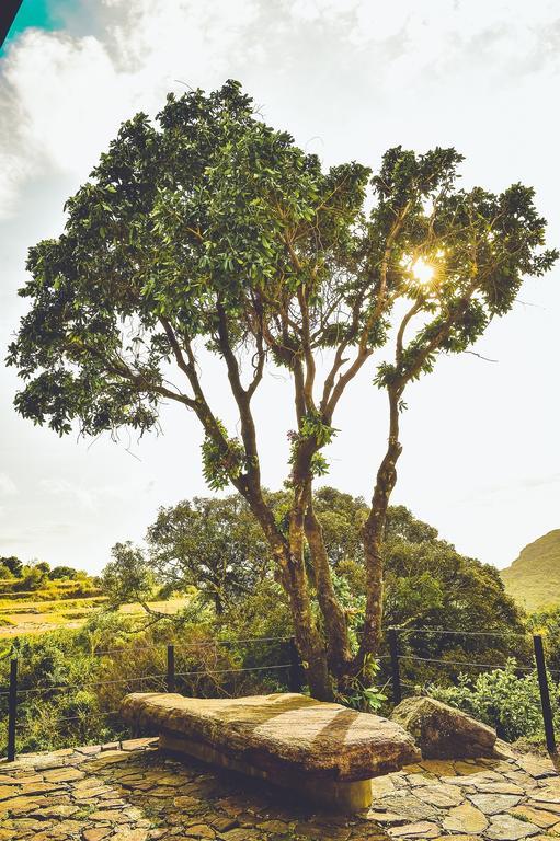 ماتالي Mountain Villa Riverston المظهر الخارجي الصورة